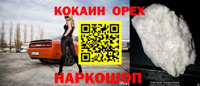 крисы Краснодар