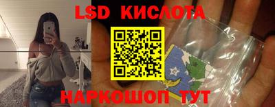 стафф Краснознаменск
