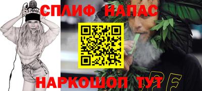 крисы Краснодар